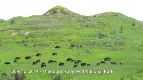 DaTheodore Roosevelt National Parkkota